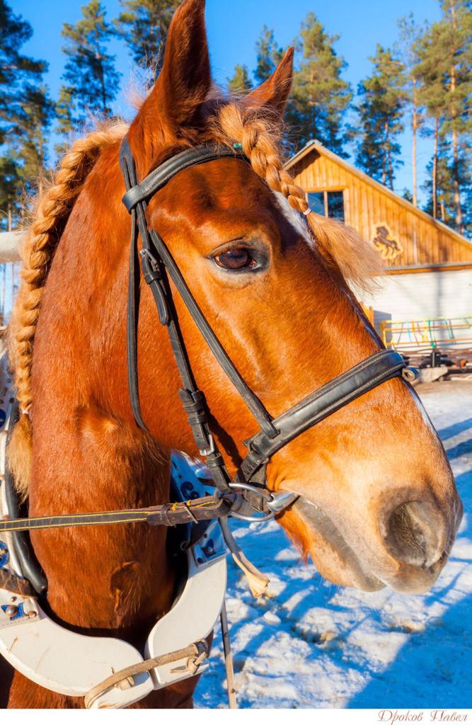 WhatsApp Image 2022 11 09 at 14.57.59 2