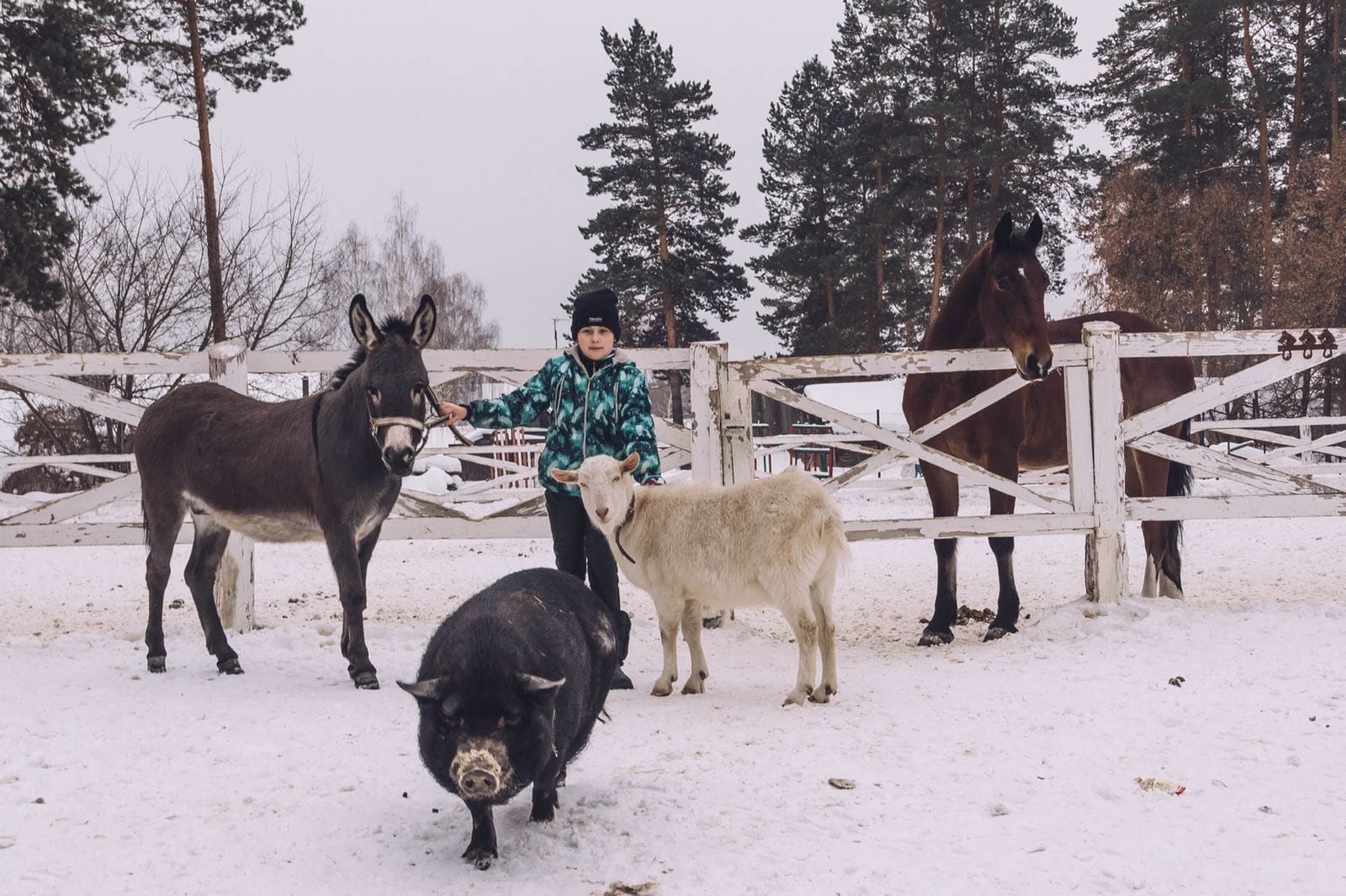 WhatsApp Image 2022 11 09 at 14.57.59 3